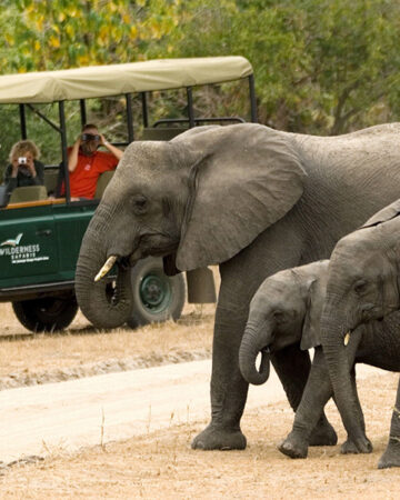 Game Drives